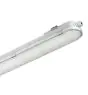 Philips Stagna LED CoreLine WT120C G2 66W 8000lm - 840 Bianco Freddo | 150cm - Emergenza 3H 